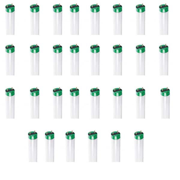 17-Watt 2 ft. Linear T8 Fluorescent Tube Light Bulb Daylight Deluxe (6500K) (30-Pack)