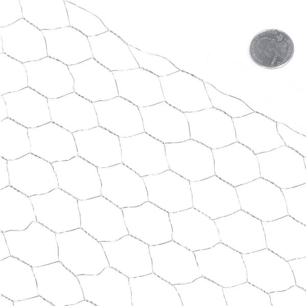 Fencer Wire 3 ft. x 10 ft. 20-Gauge Poultry Netting with 1 in. Mesh