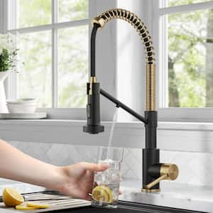 Bolden 2-in-1 Commercial Style Pull-Down Single Handle Water Filter Kitchen Faucet in Brushed Brass/Matte Black