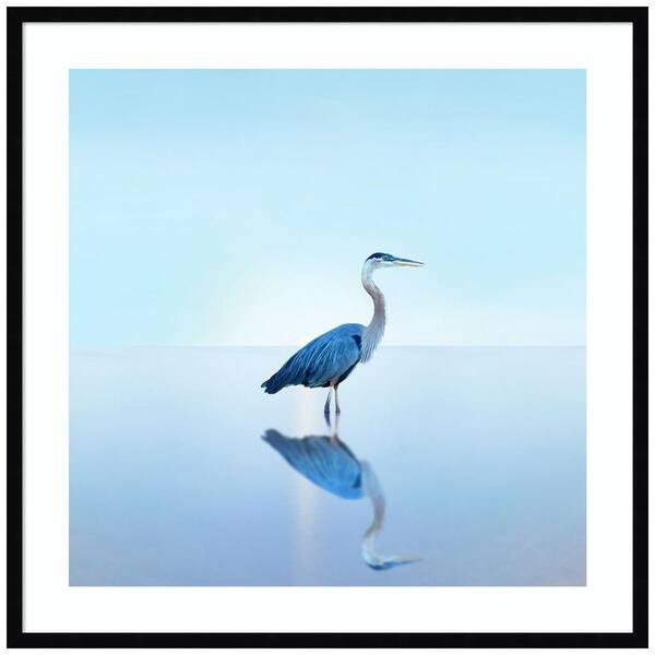 Amanti Art "Beachscape Heron II" by James McLoughlin 1 Piece Wood Framed Color Animal Photography Wall Art 33-in. x 33-in. .