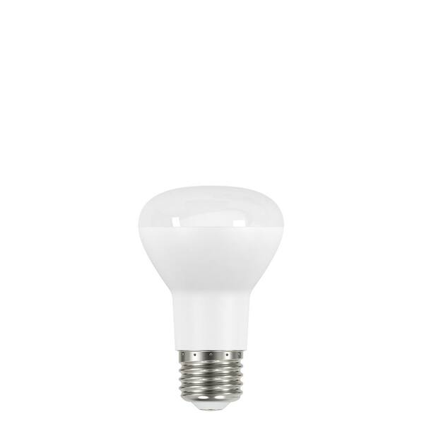 rol schade Zich afvragen EcoSmart 100-Watt Equivalent R20 CEC Dimmable LED Light Bulb in Soft White  (1-Bulb) A20R20100WT2001 - The Home Depot