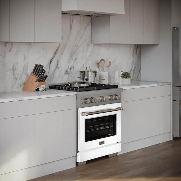 Paramount 30 in. 4-Burner Dual Fuel Range with Convection Oven in Stainless Steel and Matte White Door