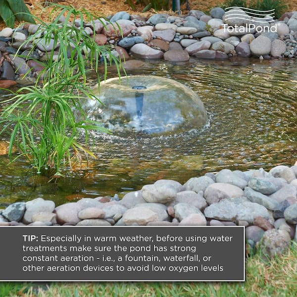 TOTALPOND - 16 oz. Algaecide for Ponds and Fountains