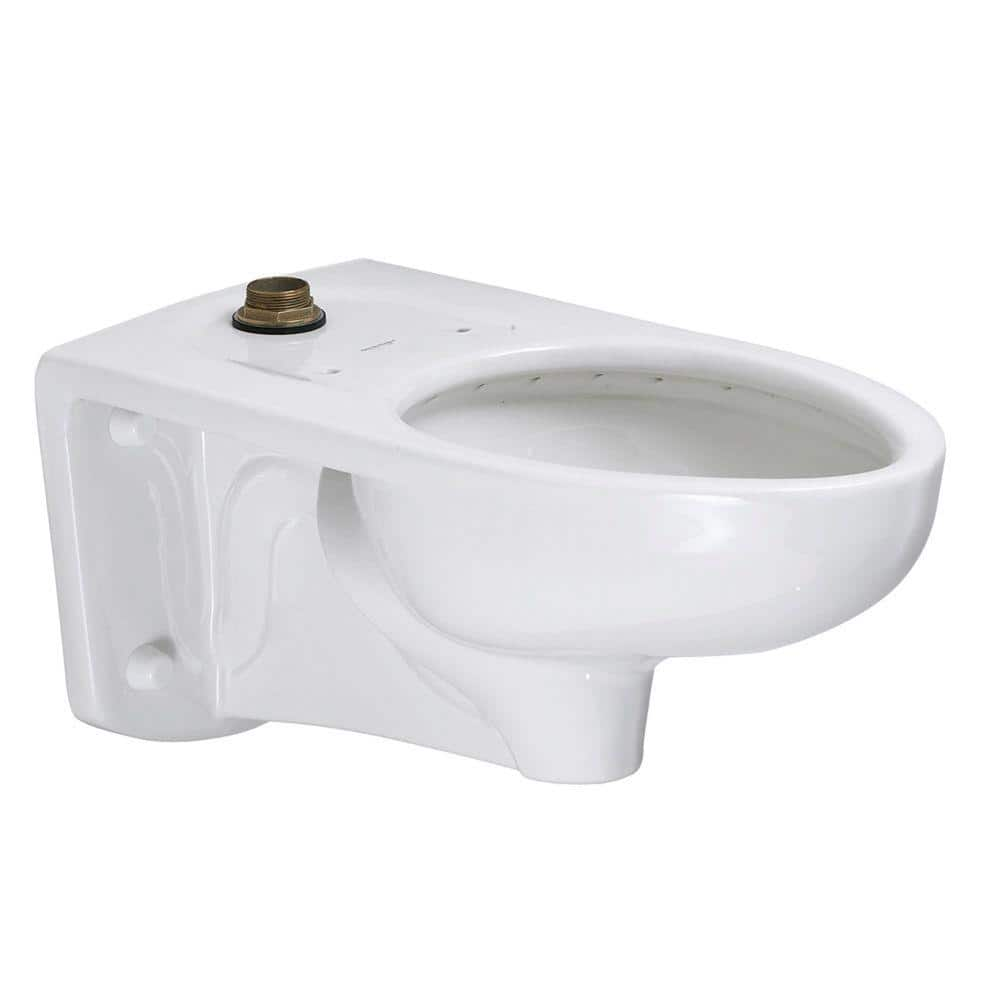 https://images.thdstatic.com/productImages/c58a18b5-6f91-4d13-baa3-81c9bb69421f/svn/white-american-standard-toilet-bowls-2296019ec-020-64_1000.jpg