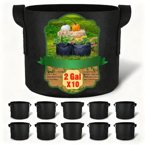 BENEAIL 3 Gal. Black Fabric Planting Containers and Pots Planter