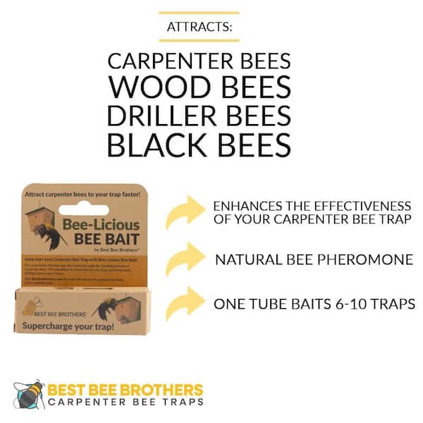 Bee-Licious Bee Bait