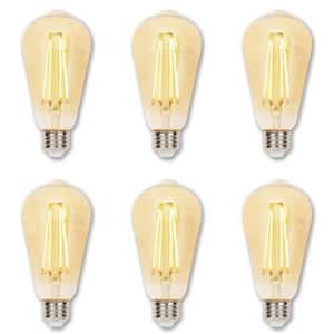 60-Watt Equivalent ST20 Dimmable Amber Edison Filament LED Light Bulb Warm Amber Light (6-Pack)
