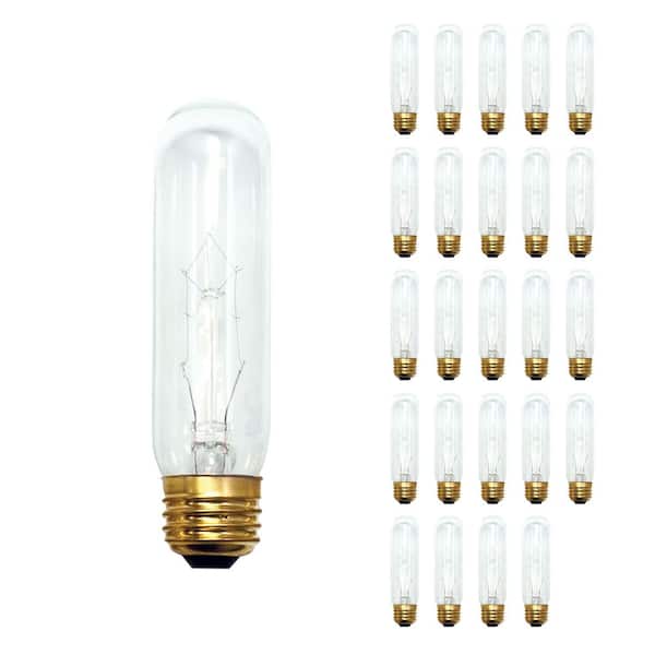 Bulbrite 60-Watt 2700K Warm White Light T10 (E26) Medium Screw Base Dimmable Clear Incandescent Light Bulb (25-Pack)