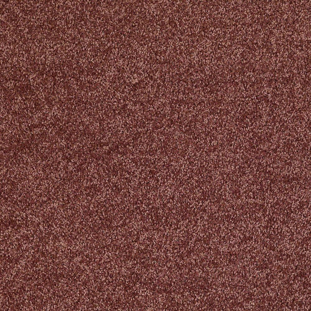 8 in. x 8 in. Texture Carpet Sample - Palmdale I - Color Tunisia Sand price history on PriceWatchPro