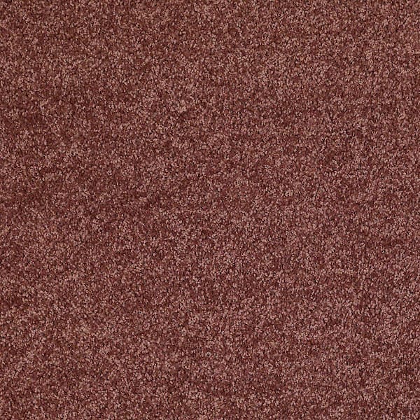 TrafficMaster 8 in. x 8 in. Texture Carpet Sample - Palmdale I - Color Tunisia Sand