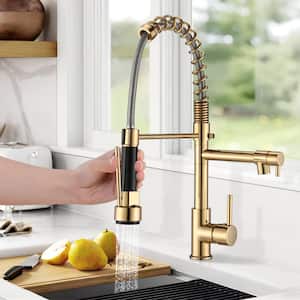 Single Handle Pull Down Sprayer Kitchen Faucet with Spring Neck in Polished Gold