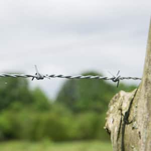 1,320 ft. 15-1/2-Gauge 4-Point Class 3 High-Tensile Galvanized Steel Barbed Wire