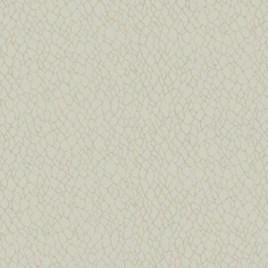 Boutique Collection Cream/White Metallic Webbing Non-pasted Paper on Non-woven Wallpaper Sample
