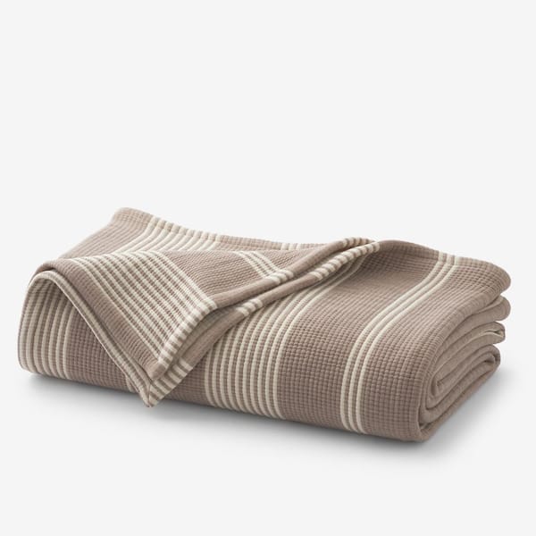 The Company Store Legends Hotel Marque Stripe Cotton Taupe Striped Knitted Full/Queen Blanket