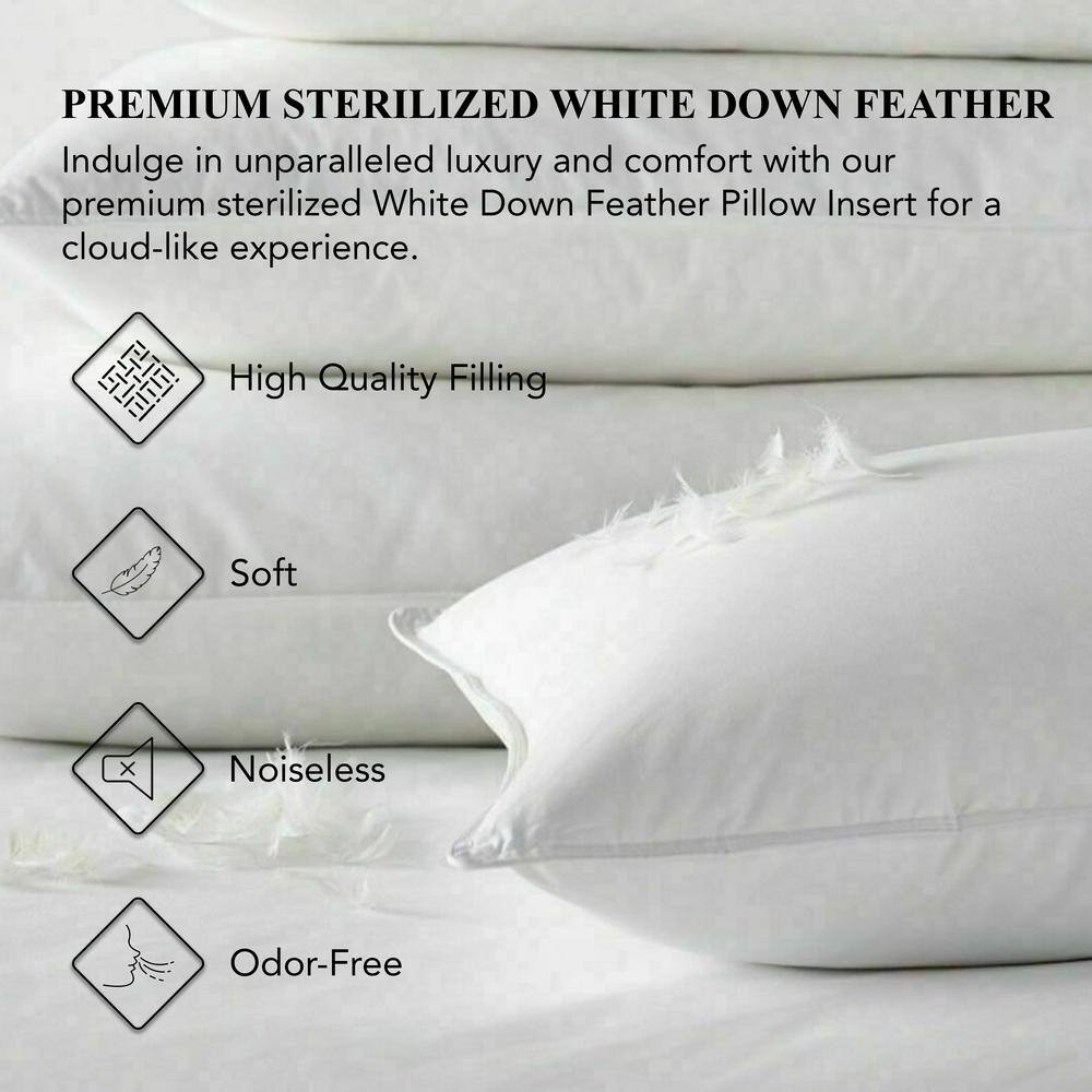 White 20x20 Inch Down Feather Throw Pillow Insert
