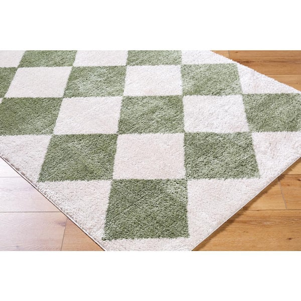 Fossay Shag Green 2 ft. x 3 ft. Modern Indoor Area Rug