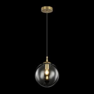 Evie 1-Light Clear Globe Morden Geometric Pendant Light