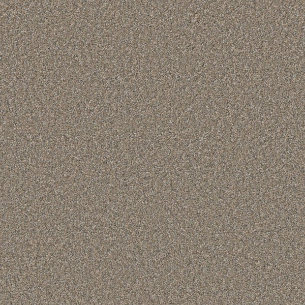 Home Decorators Collection Gentle Glimmer III-Sparkle Gray-70 oz. SD Polyester Texture Installed Carpet