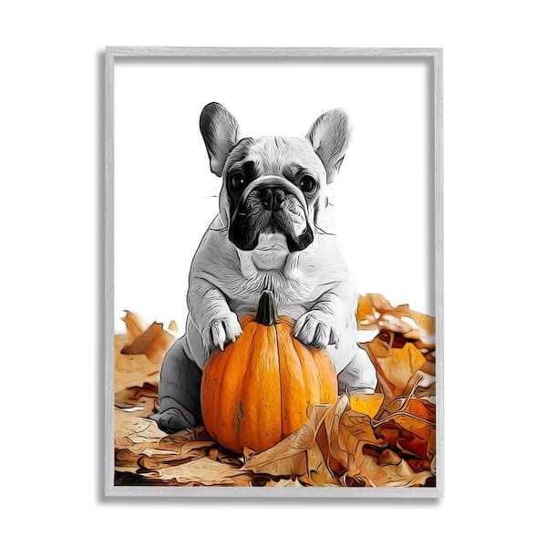 Stupell Industries Puppy with Fall Pumpkin by Annalisa Latella 1 Piece Framed Graphic Print Animal Poster Art Print 30 in. x 24 in.