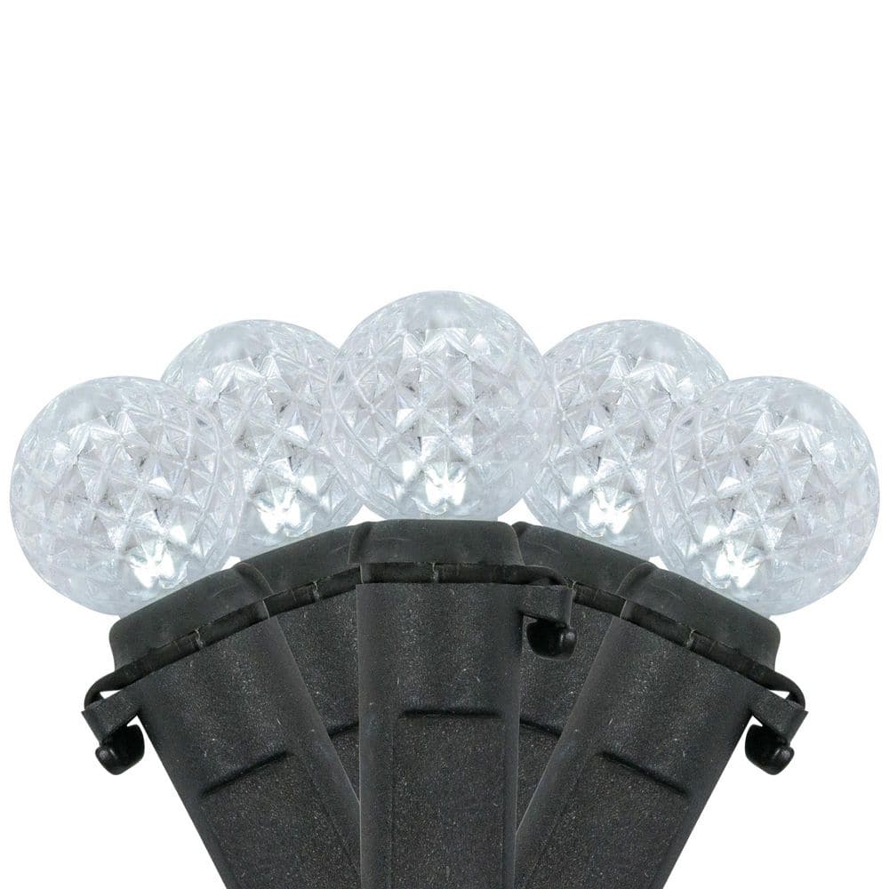 LED G12 Berry Christmas Lights - Pure White - 16' Black Wire - 50ct price history on PriceWatchPro