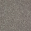 Home Decorators Collection Brave Soul I - Atmospheric - Blue 34.7 oz.  Polyester Texture Installed Carpet HDD7780400 - The Home Depot