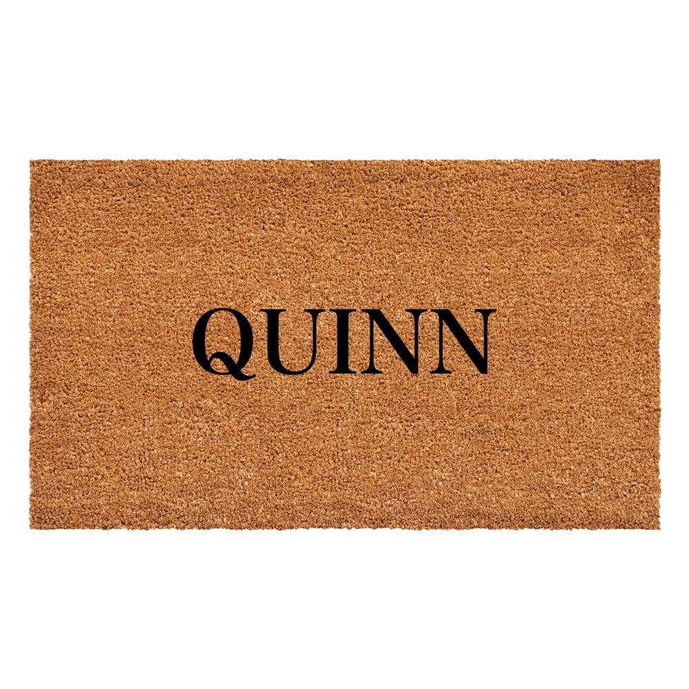 Bold Quinn Multi-Colored 24 in. x 48 in. Indoor or Outdoor Doormat price history on PriceWatchPro