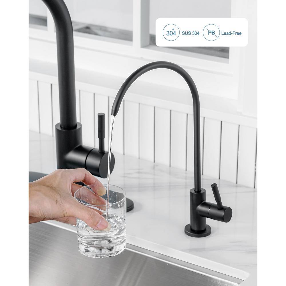 Matte Black Stainless Steel Pull-Down Kitchen Faucet with Water Filter