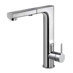 Ascend Single-Handle Pull Out Sprayer Kitchen Faucet with CeraDox Technology in Polished Chrome
