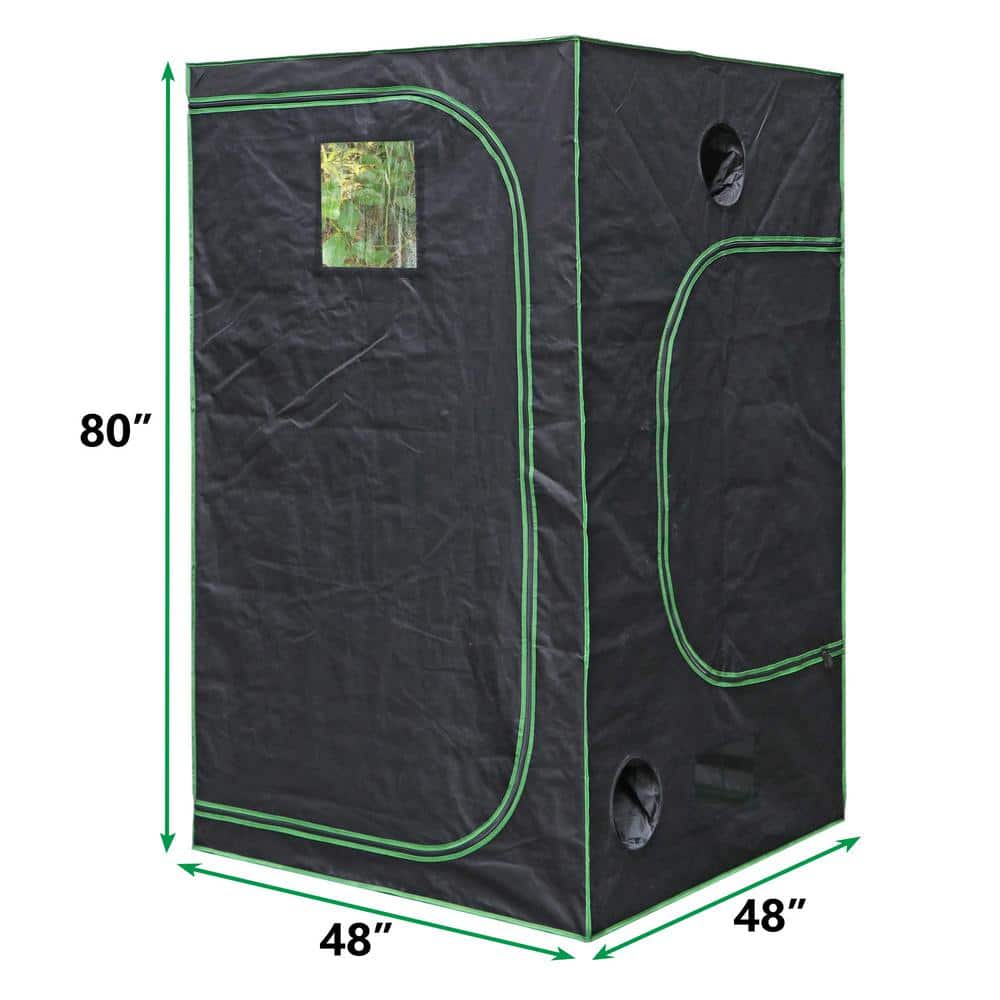 4 ft x 4 ft Green Hydroponic Grow Tent with Observation Window
