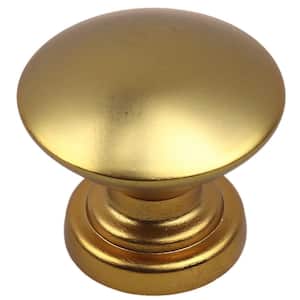 1 in. Antique Brass Round Convex Cabinet Knob (10-Pack)