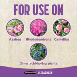 Ultragreen 5 lbs. Azalea Camellia And Rhododendron Fertilizer 10-8-6