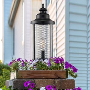 Stewart 1-Light Black Outdoor Lamp Post Light Fixture with Mesh Frame and Clear Glass