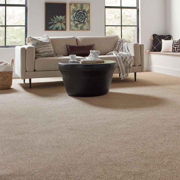 Hanville  - Twine - Brown 27 oz. SD Polyester Loop Installed Carpet