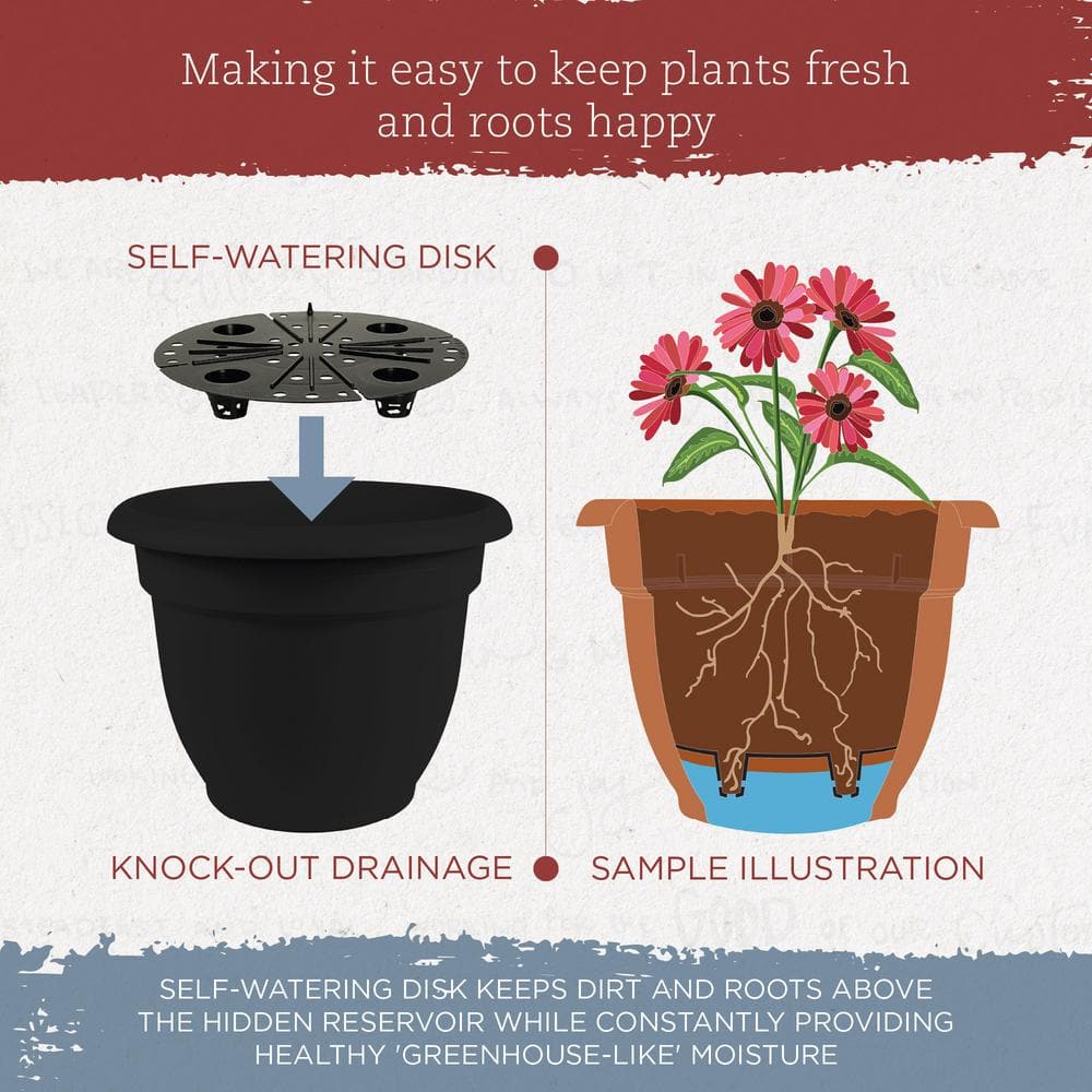 Ariana 16" Black Self-Watering Resin Planter
