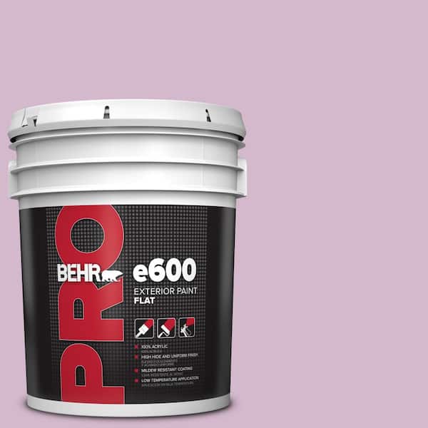 5 gal. #M110-3 Bedazzled Flat Paint