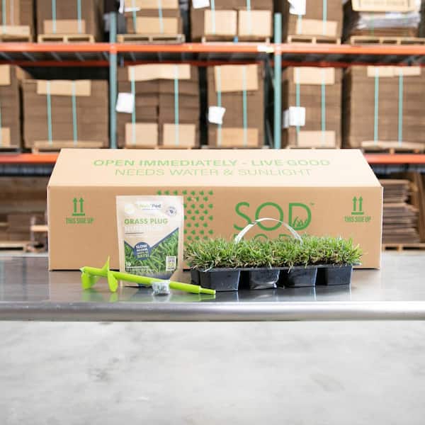 Unbranded - 64-Count SodPods Zoysia Grass Plugs/SP Popwer Planter/NutriPod Bundle - Natural, Affordable Lawn Improvement