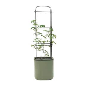 55 in. Tall Tomato Planter Box Recyclable Plastic with Trellis Self-Watering Rolling Raised Bed Sage Green