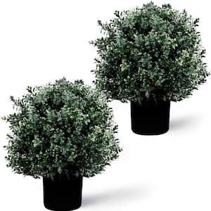 24 in. Artificial Boxwood Round Topiary Trees Outdoor in Black Base Pot 2-Pack