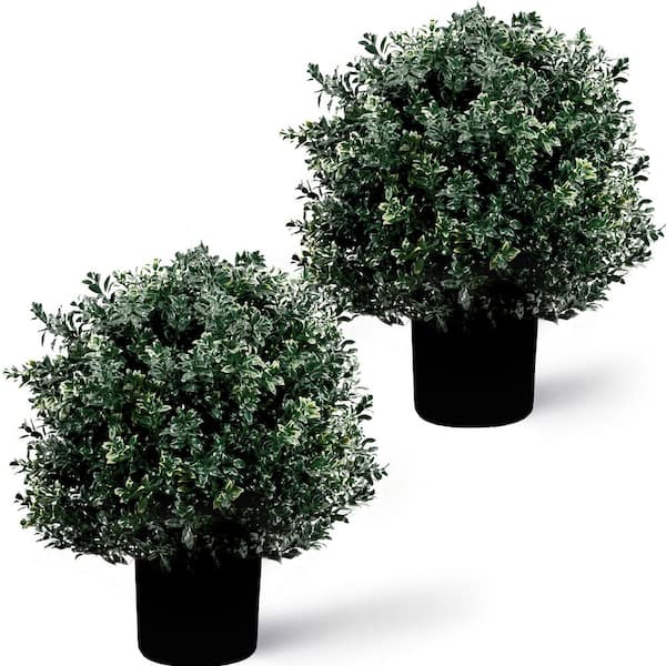 FOREVER LEAF 24 in. Artificial Boxwood Round Topiary Trees Outdoor in Black Base Pot 2-Pack