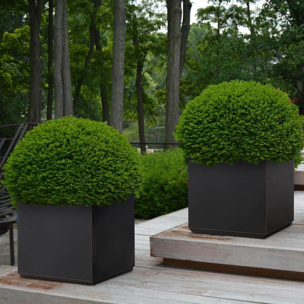 Large Black and Gold Square Metal Planter Box