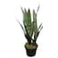 https://images.thdstatic.com/productImages/c5c9b5d7-a30f-492a-9442-7da3e78f8e8b/svn/snake-plants-sanblk006-64_65.jpg