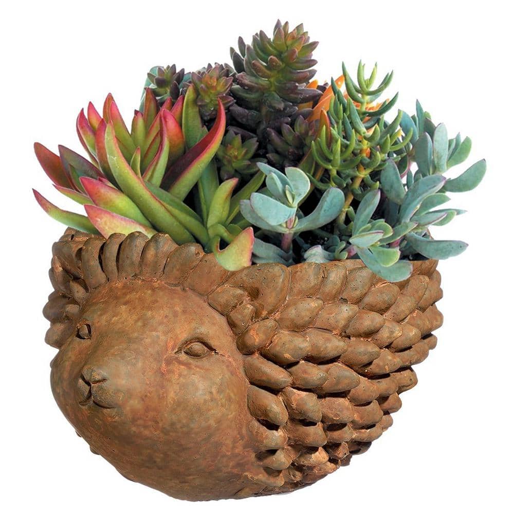 Large Rust Cement Hedgehog Indoor/Outdoor Planter