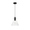 black-and-clear-pendant-lights-lvn4488black-4f.2