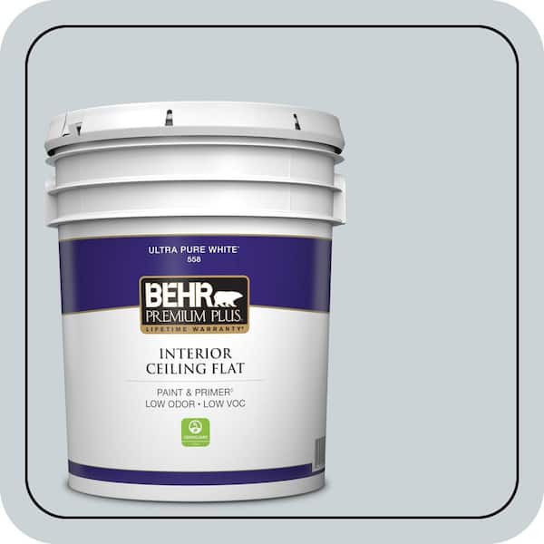 5 gal. #N490-1 Absolute Zero Ceiling Flat Interior Paint & Primer