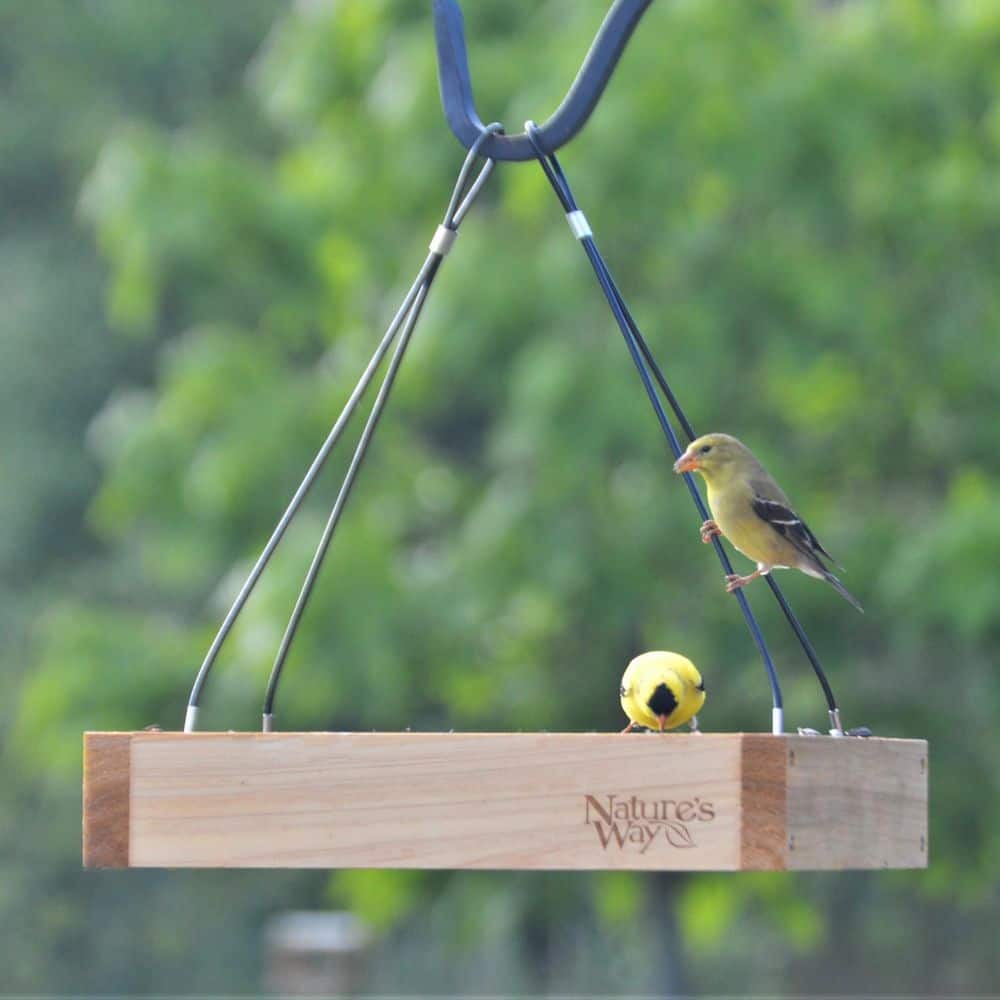 Nature's Way Cedar Platform Hanging Bird Feeder