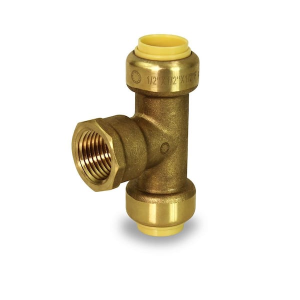 LittleWell 1/2 in. Push-Fit x 1/2 in. Female Pipe Thread Brass Coupling  (2-Pack) ACPF8FPT8X2 - The Home Depot