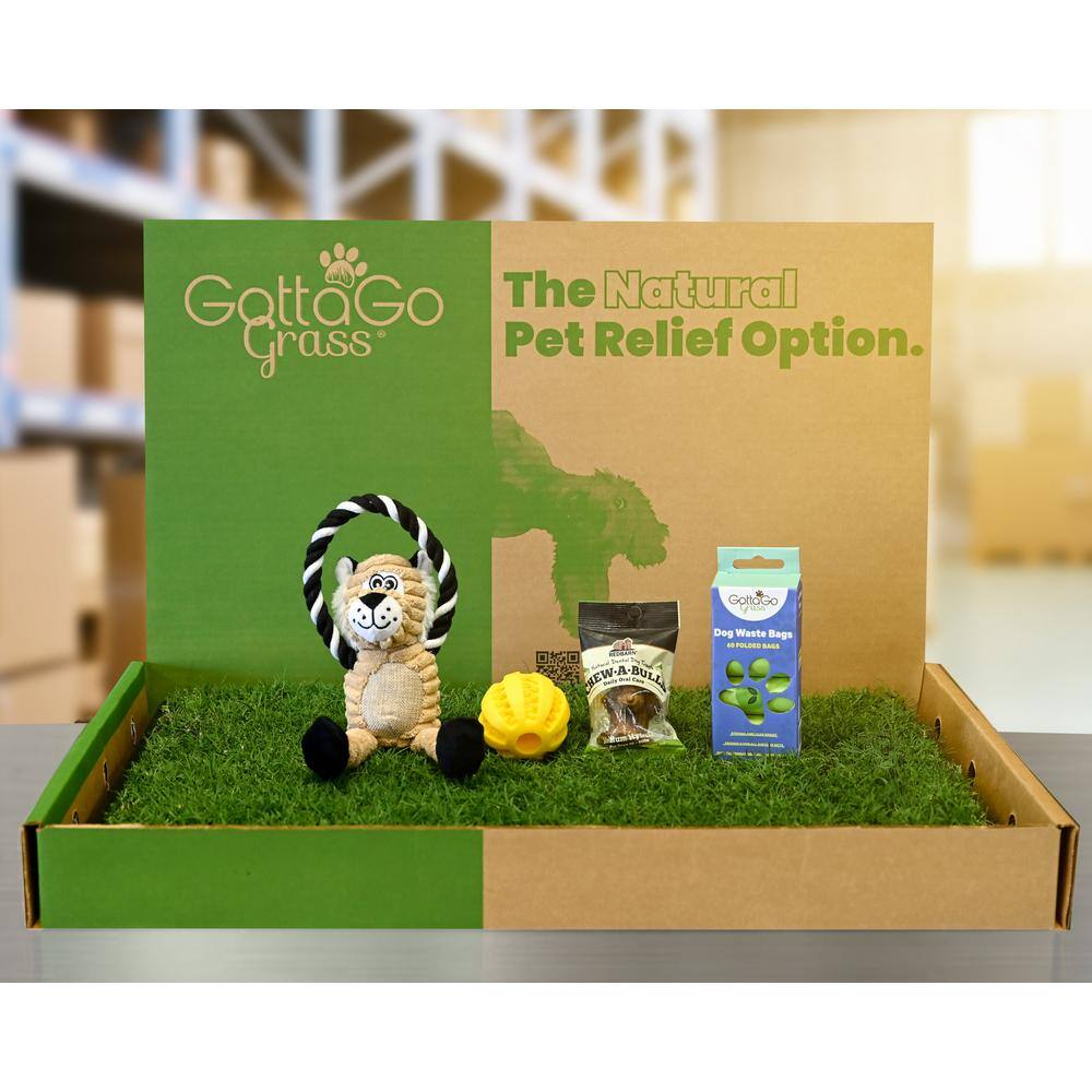 Gotta Go Grass Potty Pad with Tray + Treat + Waste Bags + Toy Ball + Squeak
