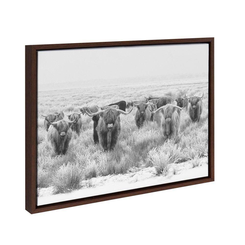 Herd of Highland Cows Black and White Canvas Print with Brown Frame