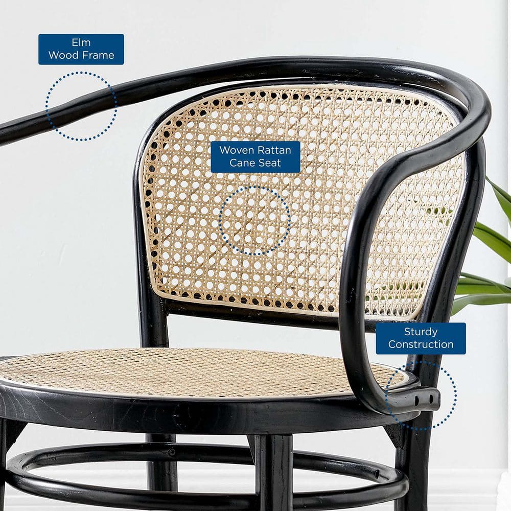 Black Elm Wood & Rattan Cane Low Arm Chair