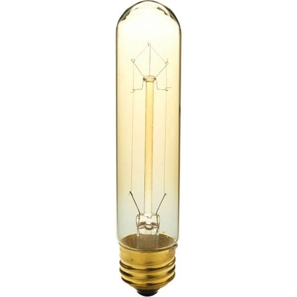 Progress Lighting 40-Watt T10 E26 Incandescent Light Bulb Medium Base Vintage Amber Lamp